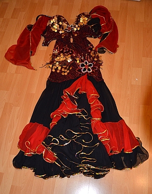 Flamenco 1